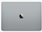 MacBook Pro Retinaディスプレイ 2300/13.3 MR9Q2J/A [スペースグレイ] 商品画像5：沙羅の木