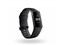 Fitbit Charge 3 FB410GMBK-CJK [ブラック] 商品画像1：高上屋