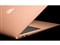 MacBook Air Retinaディスプレイ 1600/13.3 MREF2J/A [ゴールド] 商品画像2：パニカウ