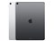 iPad Pro 12.9インチ Wi-Fi 64GB MTEL2J/A [スペースグレイ] 商品画像2：沙羅の木