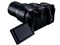 LUMIX DC-FZ1000M2 商品画像10：メルカドカメラ