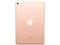 iPad mini 7.9インチ 第5世代 Wi-Fi 64GB 2019年春モデル MUQY2J/A [ゴールド] 商品画像2：パニカウ