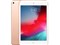 iPad mini 7.9インチ 第5世代 Wi-Fi 256GB 2019年春モデル MUU62J/A [ゴールド] 商品画像1：沙羅の木