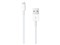 iPod touch(第7世代)128GB（スペースグレイ）MVJ62J/A/apple 商品画像4：アキバ倉庫
