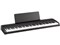 DIGITAL PIANO B2 BK [ブラック] 商品画像1：グリーフラップ