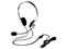 エレコム USBヘッドセットマイクロフォン 両耳オーバーヘッド 1.8m シルバー HS-FBE01USV 商品画像1：リコメン堂