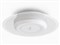SCL-75DMS-LGP 商品画像2：総合通販サイト 家電横丁