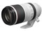キヤノン 望遠レンズ RF100-500mm F4.5-7.1 L IS USM RF100-500LIS Canon 新品 送料無料 商品画像1：あるYAN