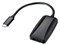 サンワサプライ USB Type C-DisplayPort変換アダプタ AD-ALCDP1401 商品画像1：リコメン堂