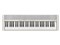 Casiotone CT-S1WE [ホワイト] シンセサイザー・キーボード  カシオ  商品画像1：JP-TRADE plus 