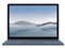 Surface Laptop 4 5BT-00030 [アイス ブルー] 商品画像1：測定の森 Plus