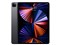 iPad Pro 12.9インチ 第5世代 Wi-Fi 1TB 2021年春モデル MHNM3J/A [スペースグレイ] 商品画像1：パニカウ