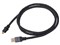 STRATOSPHERE SUS-020 USB A-USB Type C [0.2m] 商品画像1：タマガワオーディオ