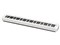 CDP-S110WE(CASIO) 商品画像1：dshopone-plus