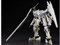 フレームアームズ 1/100 タイプ・ヘクター デュランダル 商品画像1：セレクトストアレインボー