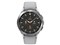 Galaxy Watch4 Classic 46mm SM-R890NZSAXJP [シルバー] 商品画像2：アークマーケットPLUS