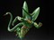 BANDAI SPIRITS【フィギュア】S.H.Figuarts セル 第一形態(再販版) 『ドラゴンボールZ』 H-4573102676153【S.H.フィギュアーツ】 商品画像1：家電のSAKURAchacha