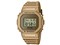 G-SHOCK DWE-5600HG-1JR 商品画像1：Phaze-OnePLUS