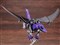 コトブキヤ【プラモデル】1／72 ゾイド EZ-005 レドラー ガイロス帝国仕様 ZD153 H-4934054027514 商品画像1：家電のSAKURAchacha