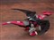 コトブキヤ【プラモデル】1／72 HMM ゾイド EHI-7 レドラー ゼネバス帝国仕様 ZD152 H-4934054027507 商品画像3：家電のSAKURAchacha