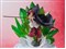 バンダイスピリッツ【ホビー】フィギュアーツZERO 超激戦 シャンクス＆ウタ ONE PIECE FILM RED Ver H-4573102640499 商品画像2：SAKURA MOMO