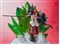 バンダイスピリッツ【ホビー】フィギュアーツZERO 超激戦 シャンクス＆ウタ ONE PIECE FILM RED Ver H-4573102640499 商品画像3：SAKURA MOMO