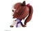 メガハウス【フィギュア】るかっぷ ウマ娘 プリティーダービー トウカイテイオー 彩色済み完成品フィギュア H-4535123834585 商品画像6：家電のSAKURAchacha