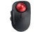 Digio2 MUS-TRLF184BK [ブラック] 商品画像1：セレクトストアレインボー