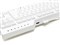 FILCO フィルコ Majestouch Convertible 3 HAKUA Tenkeyless FKBC87MPS/EMW3 商品画像4：GBFT Online