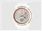 Baby-G BGA-290DS-7AJF 商品画像1：GBFT Online Plus