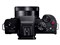 パナソニック【Panasonic】ミラーレス一眼カメラ LUMIX G100D 標準ズームレンズキット DC-G100DK-K【デジタル一眼カメラ】 商品画像8：SAKURA MOMO