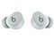 Beats Solo Buds MUVY3PA/A [ストームグレイ] 商品画像2：測定の森 Plus