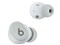 Beats Solo Buds MUVY3PA/A [ストームグレイ] 商品画像3：測定の森 Plus