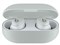 Beats Solo Buds MUVY3PA/A [ストームグレイ] 商品画像4：測定の森 Plus