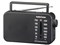 AudioCommRAD-T205S 商品画像1:総合通販サイト 家電横丁