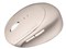 MA-EBBS522BG (ベージュ) 静音Bluetooth小型エルゴノミクスマウス (充電式・5ボタン) 商品画像1：eONE