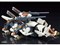 コトブキヤ【プラモデル】1/72 ゾイド RZ-009 コマンドウルフAC＆LC マーキングプラスVer. H-4934054063529【ZD187】 商品画像4：SAKURA MOMO
