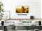 BRAVIA Theatre Rear 8 SA-RS8 [ブラック ペア] 商品画像7：サンバイカル　プラス