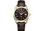 ザ・シチズン Iconic Nature Collection 30周年記念限定モデル AQ4103-16W 商品画像1：ズッカ