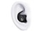 Powerbeats Fit ME2J4PA/A [ジェットブラック] 商品画像7：アキバ倉庫