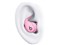 Powerbeats Fit ME2L4PA/A [パワーピンク] 商品画像7：アキバ倉庫