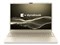 dynabook dynabook T6 P1T6APEG [アッシュゴールド] 商品画像1：デジスタイルプラス