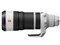 FE 100-400mm F4.5 GM OSS SEL100400MC 商品画像2：沙羅の木