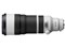 FE 100-400mm F4.5 GM OSS SEL100400MC 商品画像3：沙羅の木