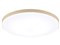 パナソニック【Panasonic】LEDシーリングライト パルック メイプル カラーフレームシリーズ ウッディグレイン ～12畳 HH-CN1248A-M【照明器具 天井照明】 商品画像1：SAKURA MOMO