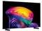 OLED42C6PJA 商品画像4：カデナビ本店