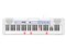 CASIO LK-350 ホワイト 光ナビゲーションキーボード 61鍵盤 商品画像1：GBFT Online