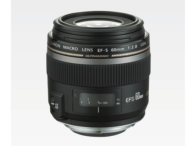 Canon EF-S60mm F2.8 マクロ USMの通販なら: 沙羅の木 [Kaago(カーゴ)]