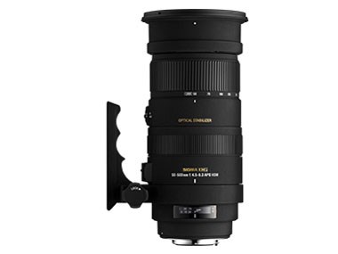 APO 50-500mm F4.5-6.3 DG OS HSM (ニコン用)の通販なら: トップ