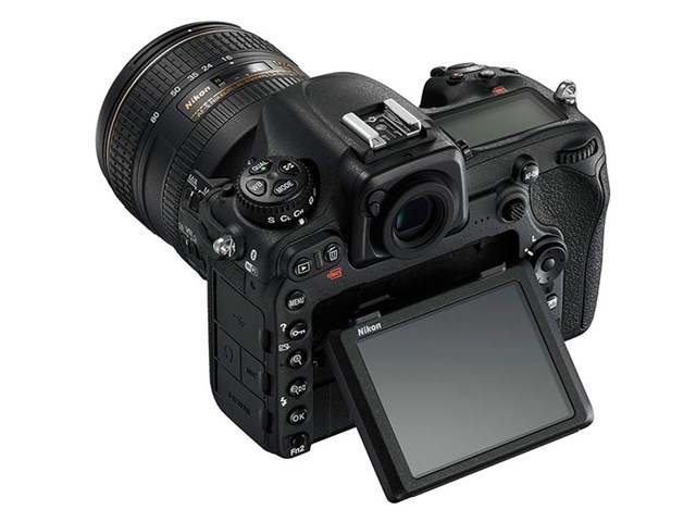 Nikon D500 16-80 VR レンズキットの通販なら: 沙羅の木 [Kaago(カーゴ)]